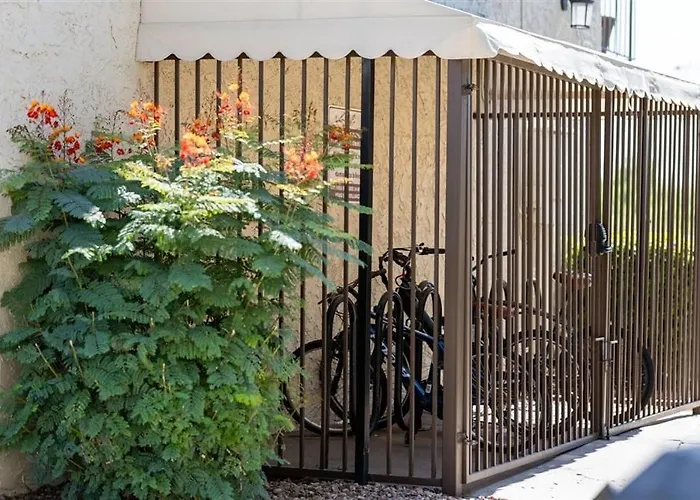 123 Fully Furnished 1br Suite-prime Location Apartment